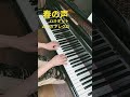 春の声 (初心者) ハリオットムジカアレグロ