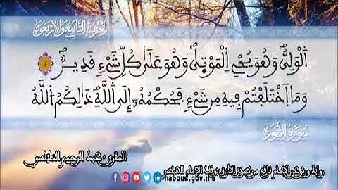 الثمن 2  من الحزب 49 رواية ورش عن نافع من المصحف المثمن بصوت القارئ عبد الرحيم النابلسي