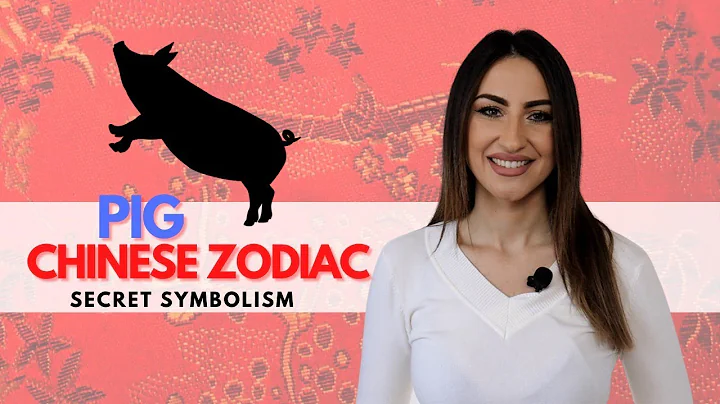 PIG Chinese Zodiac Sign - Everything You Need To Know! - DayDayNews