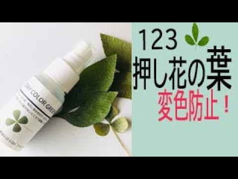 押し花の葉の変色防止 Youtube