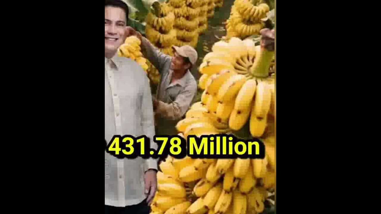 KILALANIN ANG MGA SENADOR NA MAYAMAN.#creditstotherightfulowner #news 