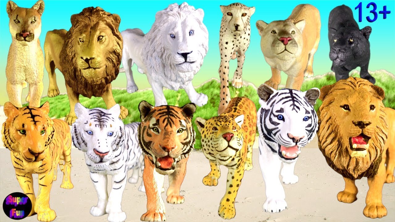 Lion, Tiger, Leopard, Jaguar, Puma, Panther, Cheetah - Big Cat Week 13+ -  YouTube