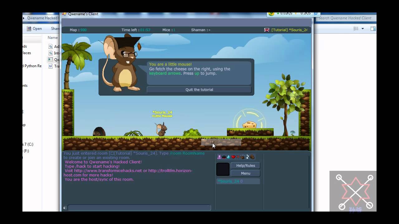 Lets Hack Transformice: Qwename's New Hacked Client