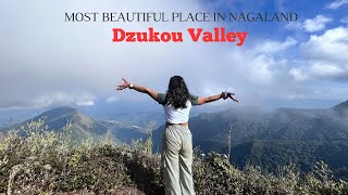 Dzukou Valley Trek and Night Camping | Exploring Nagaland | EP 2