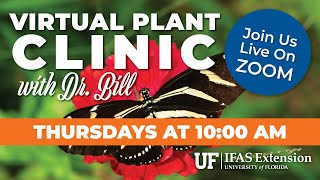 UF\/IFAS Virtual Plant Clinic April 16, 2020