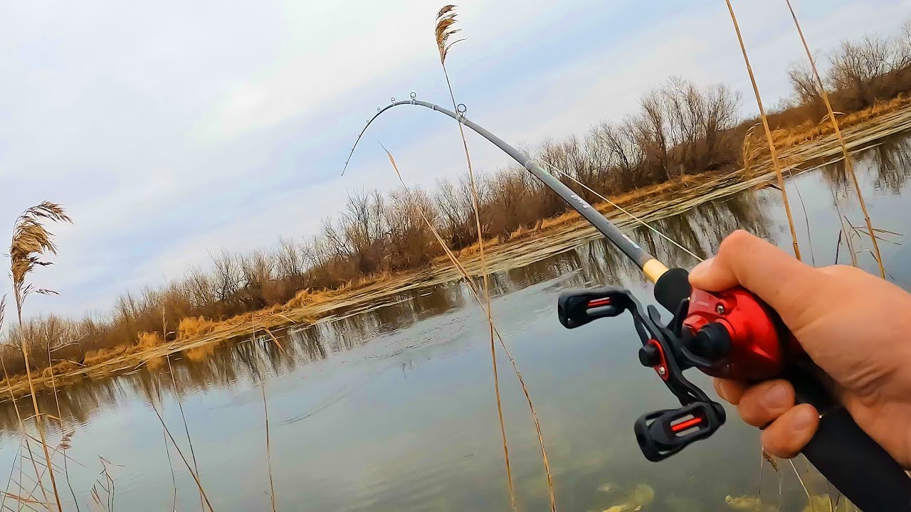 ДЕРЖИ СПИННИНГ КРЕПЧЕ! СОЛНЦЕ УШЛО И ЩУКА ОЗВЕРЕЛА! Рыбалка в октябре у камышей