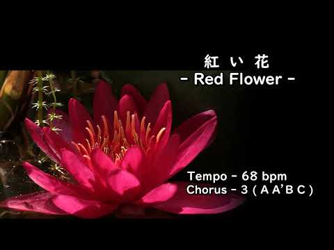JP - 紅い花 - Red Flower - ( 🎹 C ) + Solo