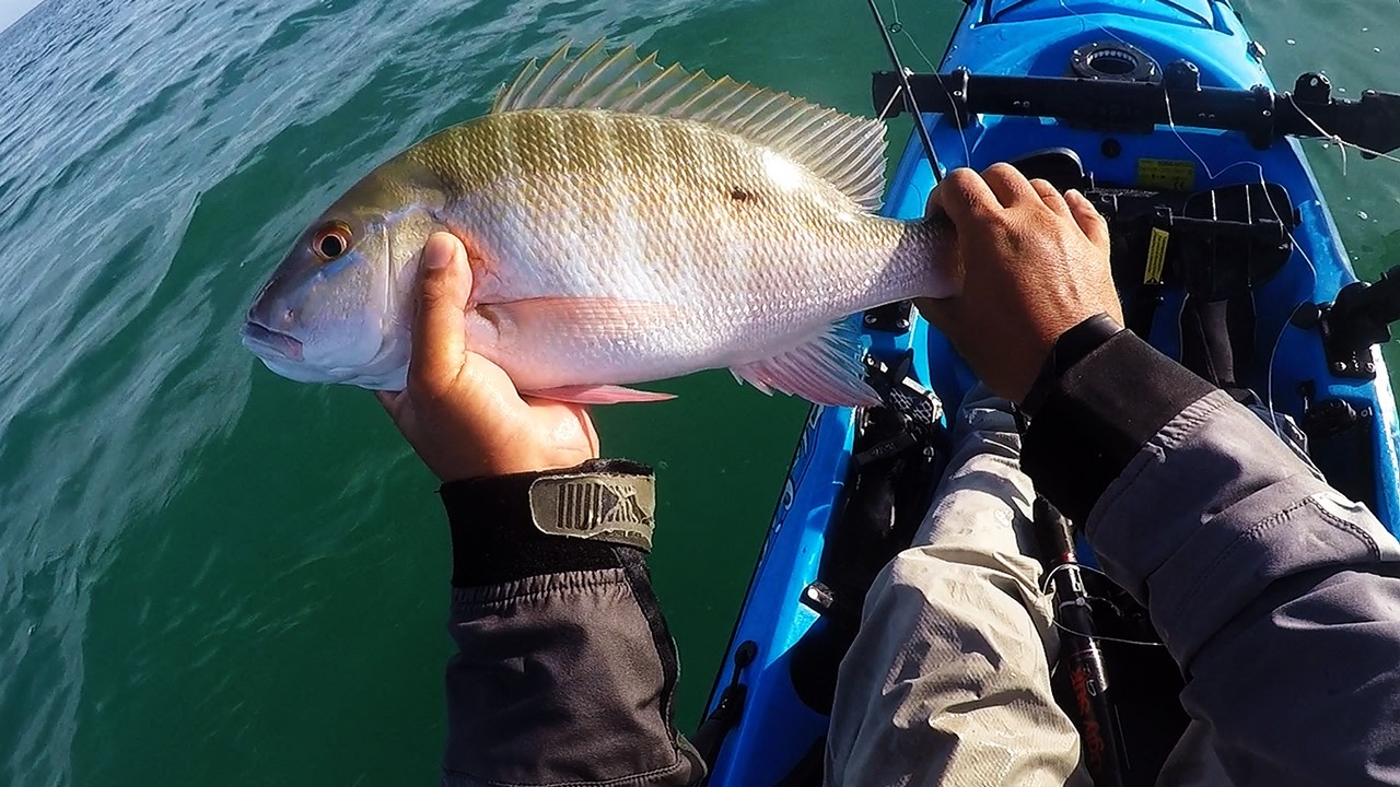 Marathon – Secret Sandbars And Kayak Fishing In The Florida Keys – South  Florida And Beyond Off The Beaten Track