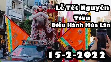 Lễ Tết Nguyên Tiêu 2022 / Diễu Hành Múa Lân Quận 5 / Tưng Bừng Lễ Hội Tết