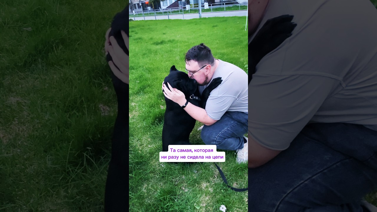 А вас тоже зацелованная булочка? 