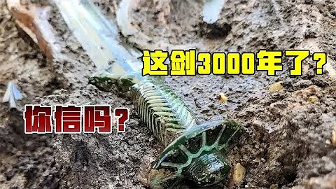 德國挖出3000年嶄新青銅劍，網友：不是西周不是東周，是上周的 - 天天要聞