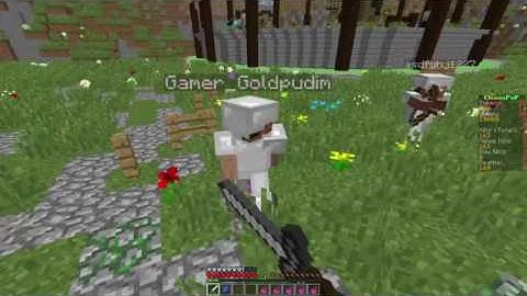 Gamer_Goldpudim hacking (McGamerZone)
