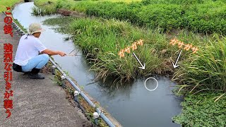 用水路の草が『ガサガサ』動くから、釣りエサを投げ入れてみたら…