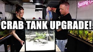 MY PET CRABS GET A 40 GALLON AQUARIUM!!!! - ADayWithT