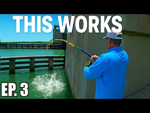 How to Catch BIG Snook from Shore (Secret Pinfish Method | Florida Bridge Fishing Tips) Ep 3