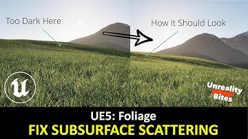 UE5 | Get Better Looking Megascans Foliage with this QUICK FIX