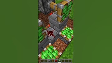 MINECRAFT DOUBLE BLOCK SWAPPER ( もういいよ ) 🤯 #minecraft #shorts