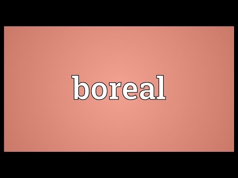 Boreal Meaning