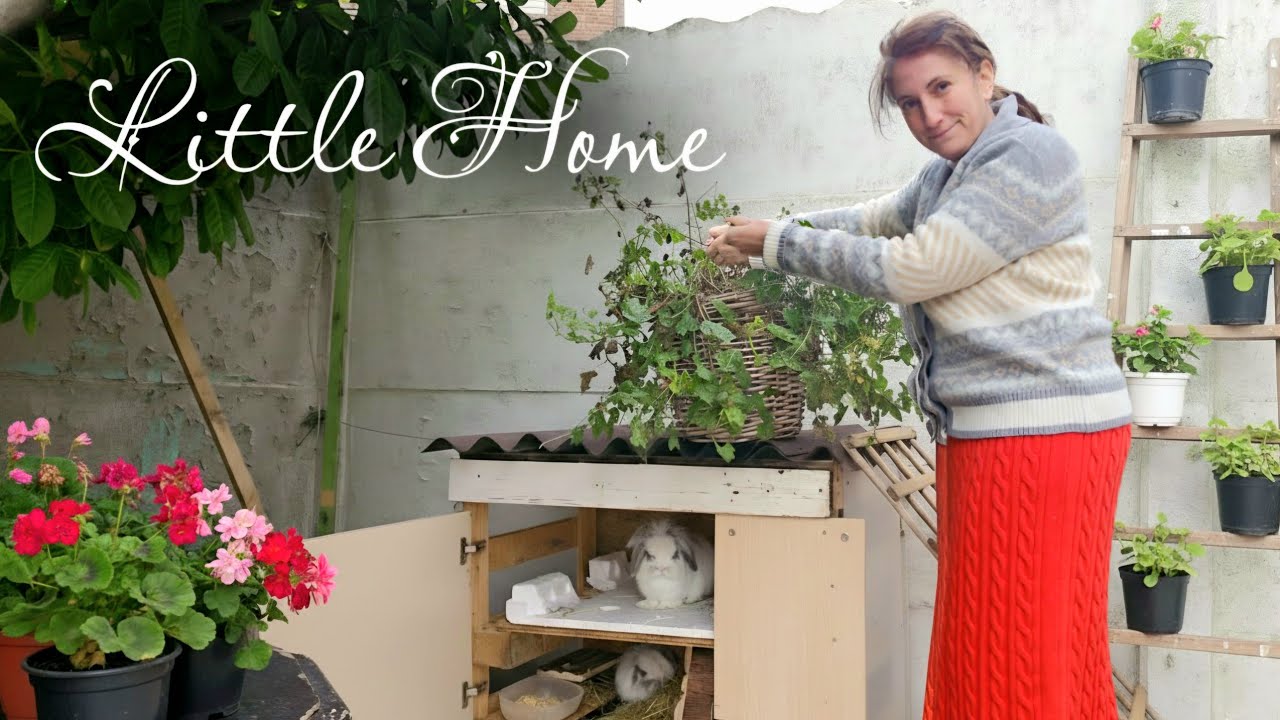 Un día en el invierno belga 🐰 Hacemos una casa para nuestro conejo porque este invierno es más frio