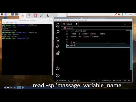 Bash scripting tutorial (p flag , s flag and Arrays) part 3  #bash #commands #raspberrypi