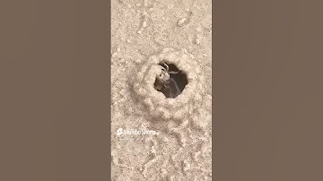 هذا خلق الله #المنشاوي #قرآن #تلاوة_خاشعة #اكسبلور