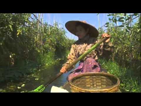 Les jardiniers du lac Inl   Faut Pas Rver au MyanmarBirmanie extrait