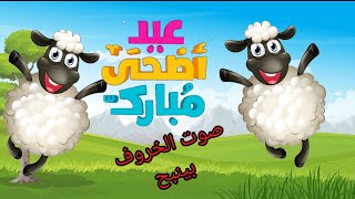 صوت الخروف بينبح ماء ماء ماء| أغنية عيد الاضحى| أغنية العيد للأطفال