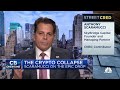 We haven't sold any positions amid crypto collapse, says SkyBridge Capital's Anthony Scaramucci