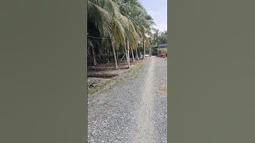 bán đất huyện Chợ Gạo Tiền Giang dt741m² chỉ có 660 triệu 0386725208