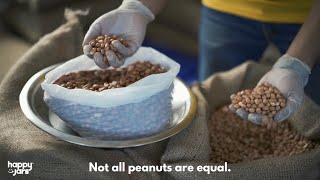 Why Java peanuts are better for making peanut butter?
