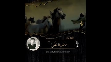 ووهبنا لداودا سليمان القارئ زياد احمد صوت يبكي الحجر