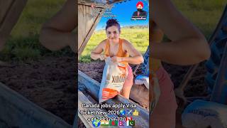 Canada Packing Job 2026 🇨🇦 | No IELTS | Food Packing Jobs for Indians | #shorts