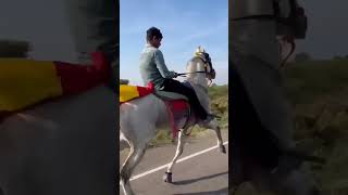 rojo ho #yutubeshorts #horser #horseenthusiast #viralvideo #horserid #horsefan #horseriding #love