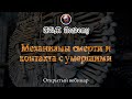 Механизмы смерти и контакта с умершими / Открытый вебинар №1