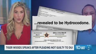 Tiger Woods speaks after pleading not guilty to DUI last Friday Net Worth