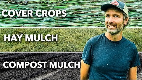 Which No-Till System Wins in a Drought?