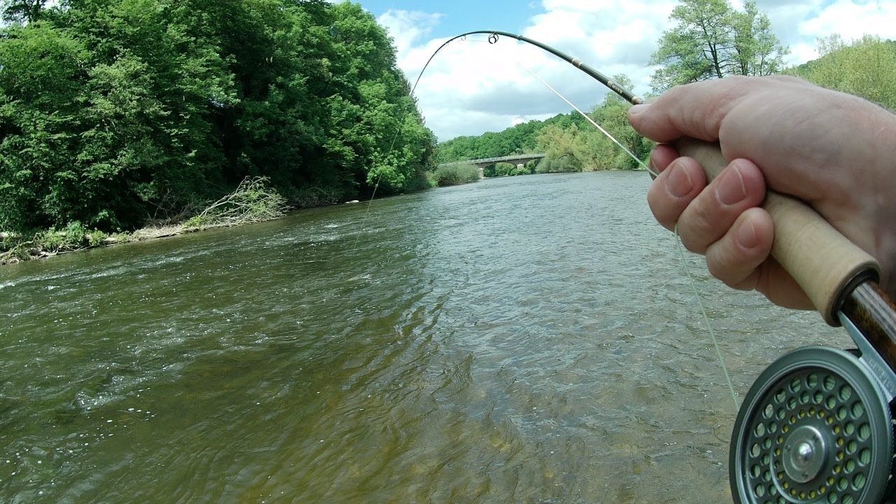 Wędkarstwo muchowe.Tęczaki,potok klenie,wieki jelec łowione na muchę