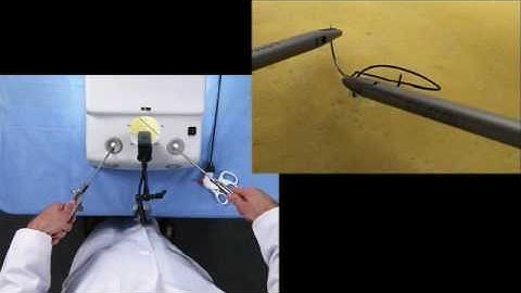 007_RossInterrupt_Instruct.wmv