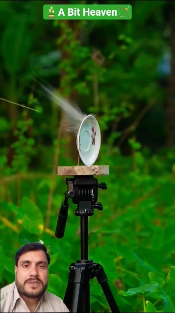 #bamboo Bamboo & Steel ball🎍 &#hunting #archery #greenscreenvideo #bambooshorts