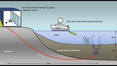 QICS experiment: replicated CO2 leak from a CCS sub seabed storage site