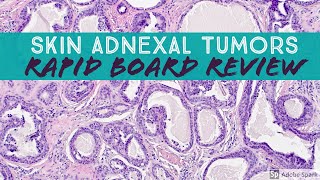 Skin Adnexal Tumors: Dermpath Board Review for Dermatology Pathology & Dermpath screenshot 5