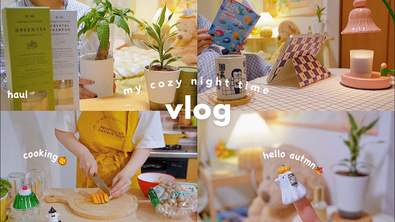 VLOG/ 秋が始まる夜の過ごし方🪵⸝꙳一人暮らしが作る楽チンご飯と雑貨購入品…👻my cozy night time in Japan