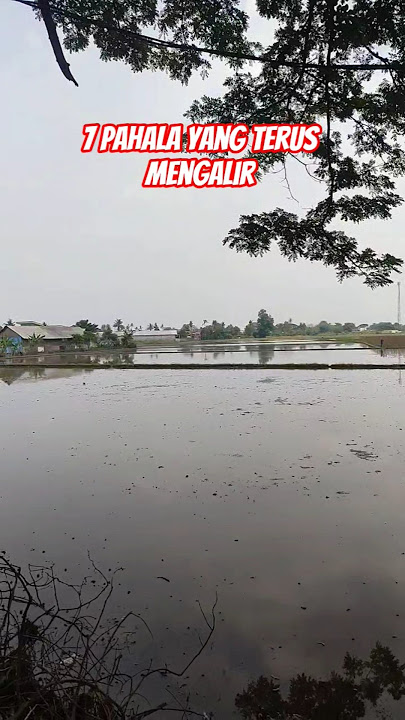 7 Rewards That Keep Flowing #shorts #motivation