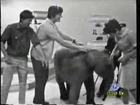 Blue Peter - elephant