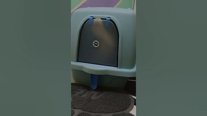 Video 2612911: toilet cat funny, big white cat, cat playing fun, cat white blue, cat food funny