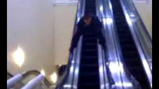 Deerbrook mall