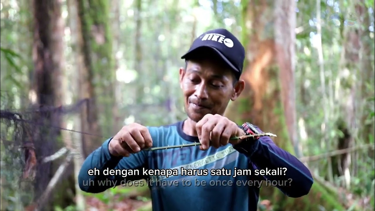 EKSPEDISI JELAJAH BETUNG KERIHUN SERI 2 LIFE CAUGHT IN THE NET