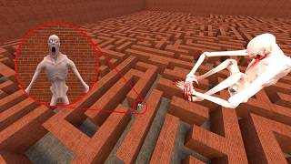 DEADLY HORROR MAZE WITH A GIANT MONSTER!  | Garry’s Mod #gmod  #spc096 #nextbots