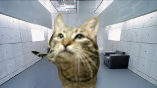 (MeowSynth) Virtual Insanity