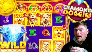 🐾 DIAMOND DOGGIES!! 🐾 - This Win Hit The WOOF!!